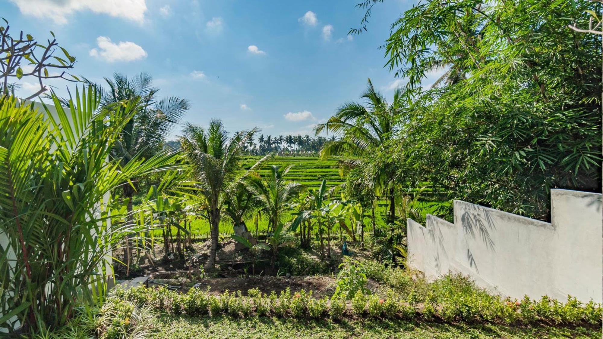 Padi Luwih Villa Ubud Exterior foto