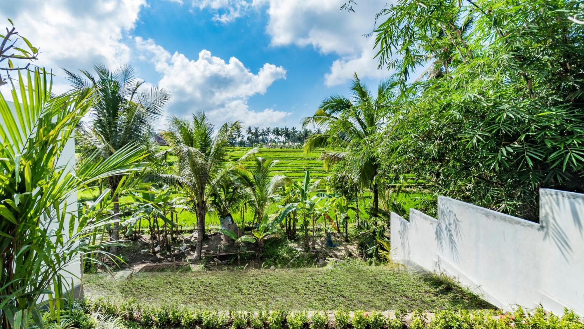 Padi Luwih Villa Ubud Exterior foto